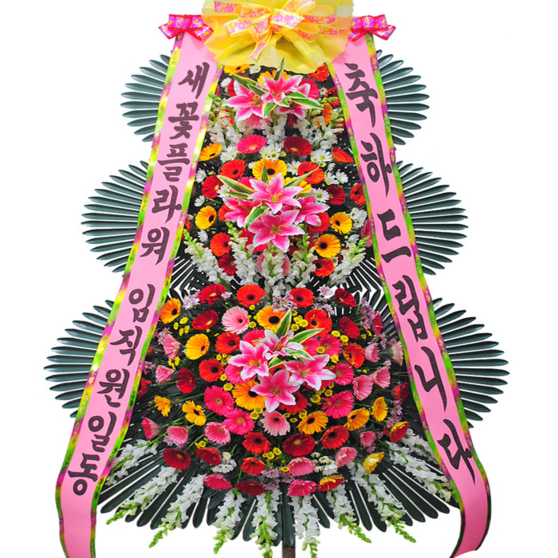 축하신상5