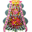 축하신상4