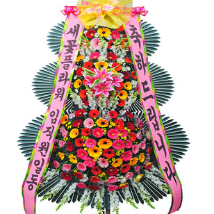 축하신상4