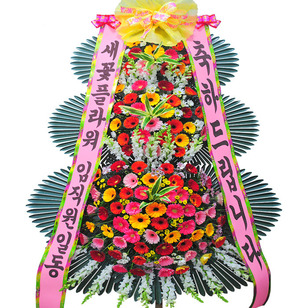 축하신상3