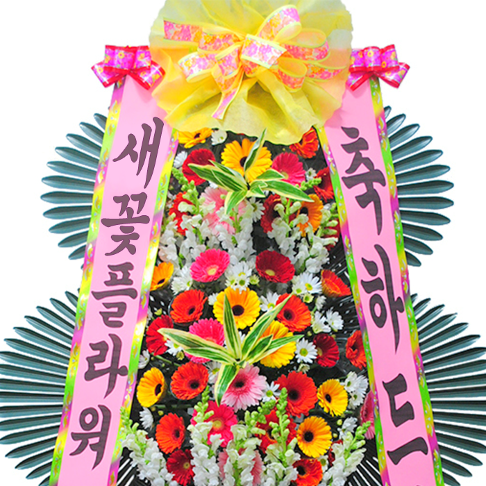 상세이미지