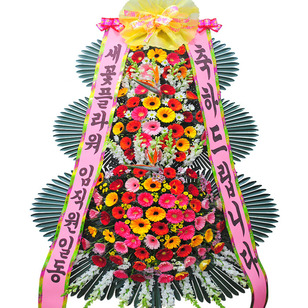 축하신상2