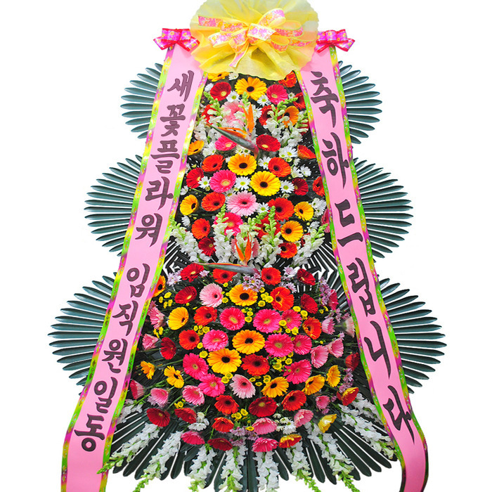 상세이미지