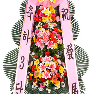 축하3단4