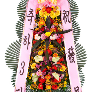 축하3단2