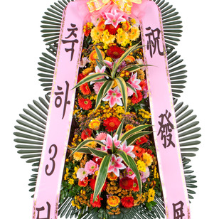 축하3단1