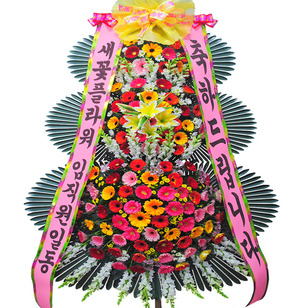축하신상1