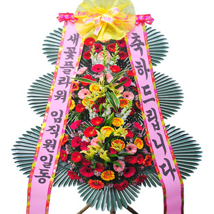 ★MD추천★축하4