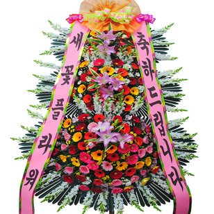 명품VIP축하5