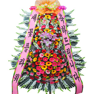 명품VIP축하6