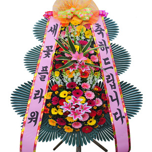 축하2