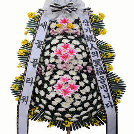 ★MD추천★근조5