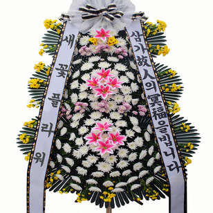 ★MD추천★근조5