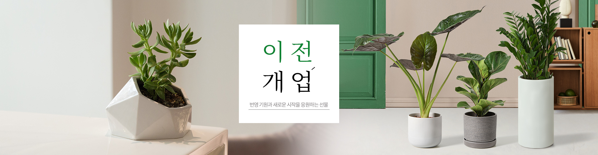이전/개업