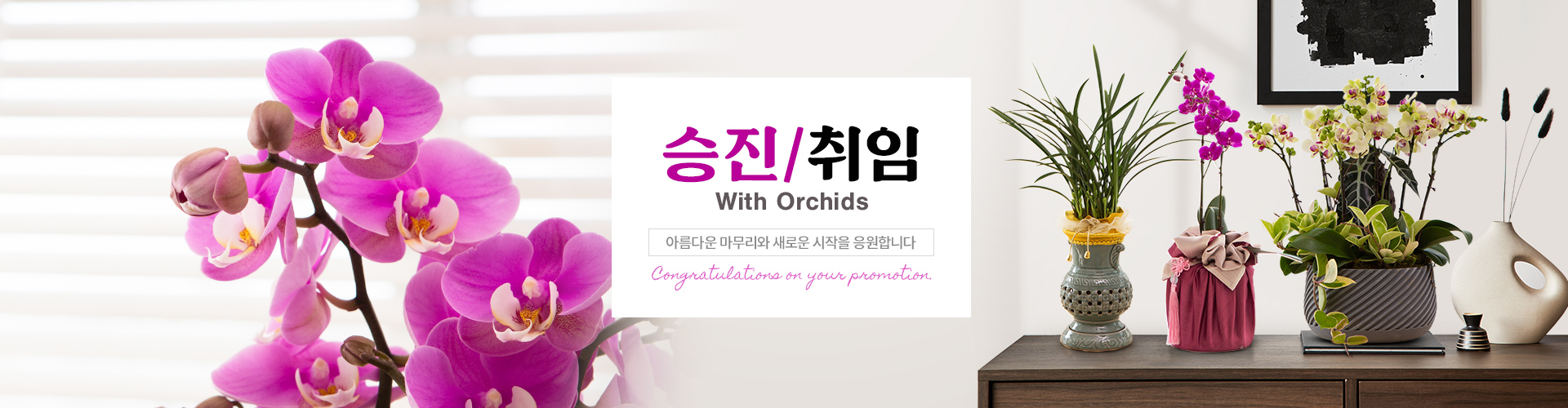 승진/취임