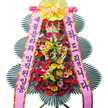 ★MD추천★축하4